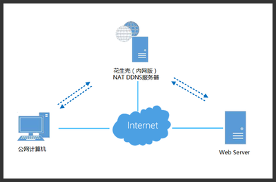 贝锐科技 一站式网络解决方案，赋能企业数字化连接